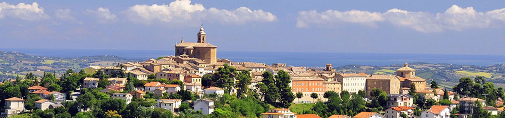 Header Comune di Montecarotto