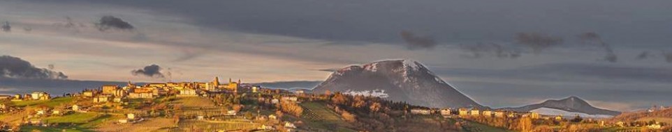 Header Comune di Staffolo