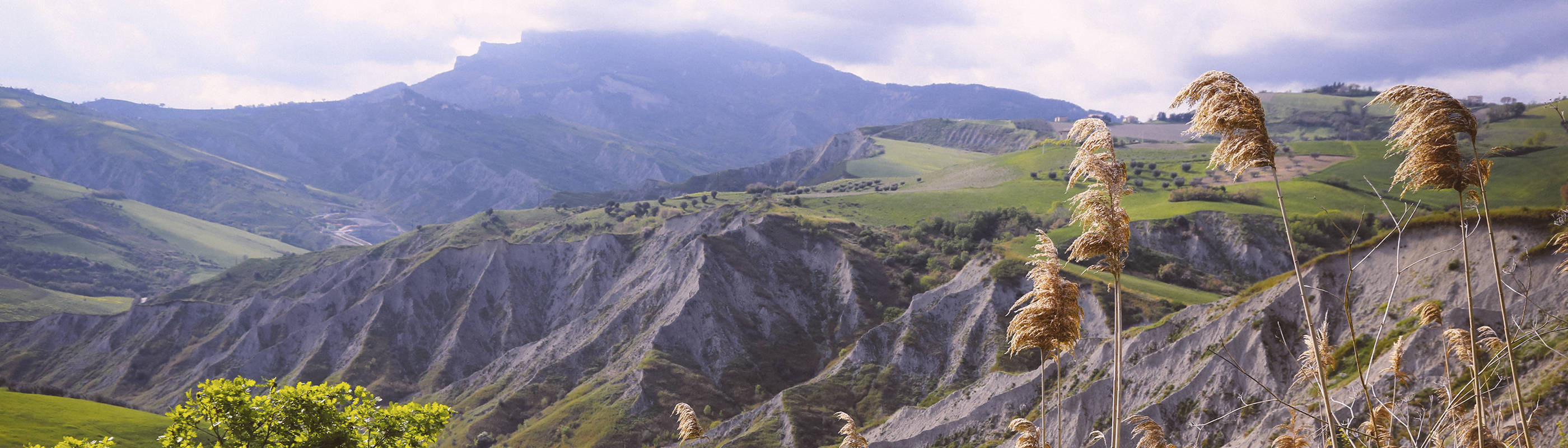 Header Comune di Appignano del Tronto