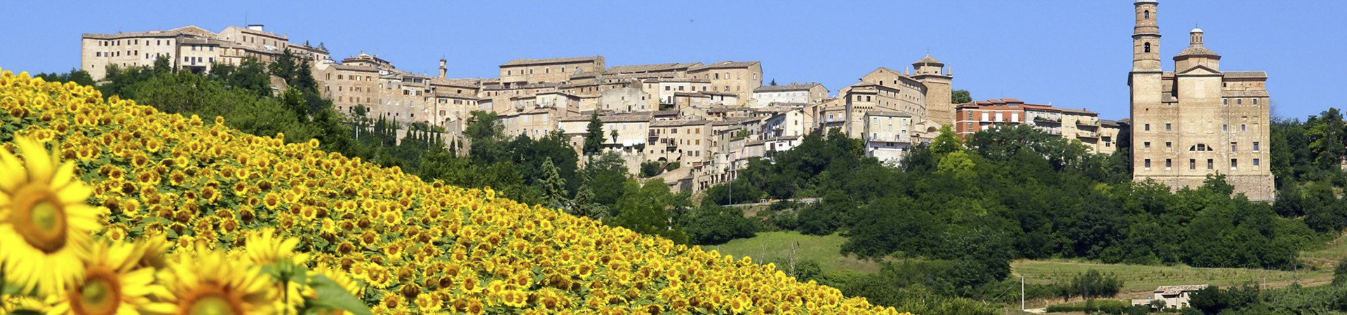 Header Comune di Montalto delle Marche